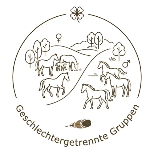 Harmonische Pferdeherde in geschlechtergetrennter Gruppenhaltung auf der 4L Ranch